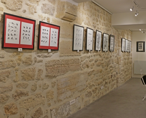 L'exposition Chats, hommage à Steilen sur le SoBD